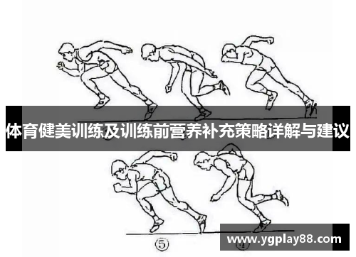 体育健美训练及训练前营养补充策略详解与建议