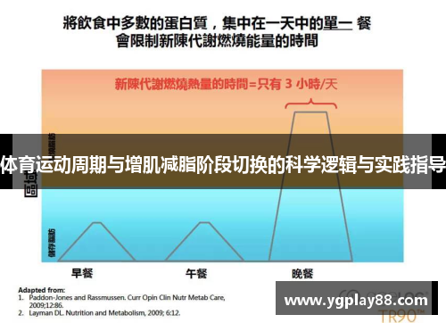 体育运动周期与增肌减脂阶段切换的科学逻辑与实践指导